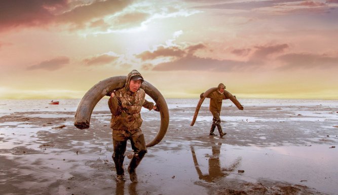 Genesis 2.0 : Chasseurs de mammouths en Sibérie