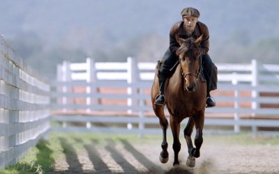 Pur-sang, la légende de Seabiscuit