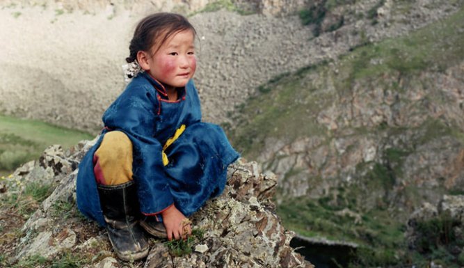 Le chien jaune de Mongolie