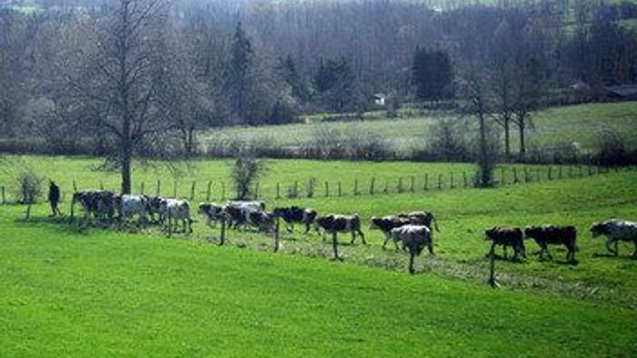 Cyrille, agriculteur, 30 ans, 20 vaches, du lait, du beurre, des