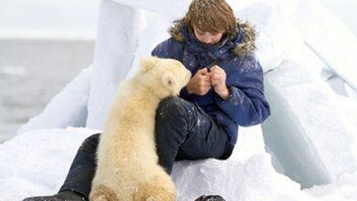 Pizou l'ours blanc, la traversée de la banquise