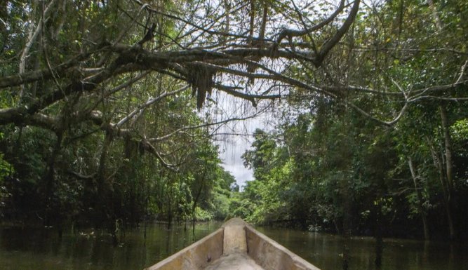 Onibo : Pérou, de la jungle urbaine à la jungle amazonienne