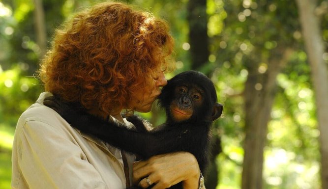 Bonobos