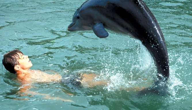 Flipper, aventures en Floride