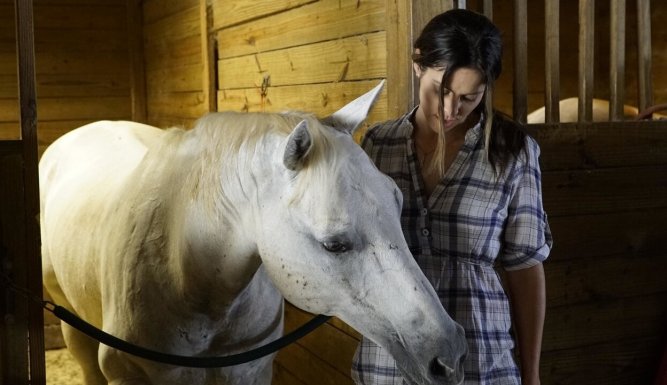 Changing saddles : Urban Country