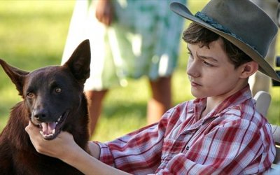 Blue, mon chien d'Australie