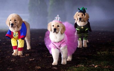 Les copains fêtent Halloween : la légende du chien maudit