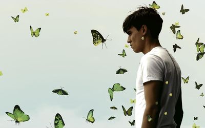 Green Butterflies