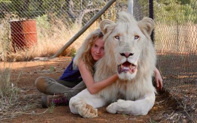 Mia et le lion blanc