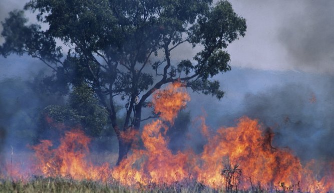 Ecologie : La méthode Rivasi