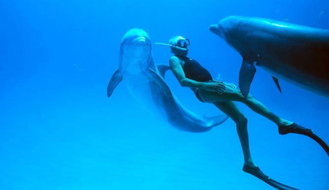 L'homme dauphin, sur les traces de Jacques Mayol