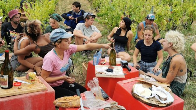 La Révole nature, de la vigne au verre