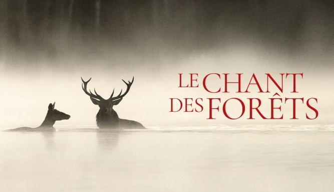 Le Chant des forêts