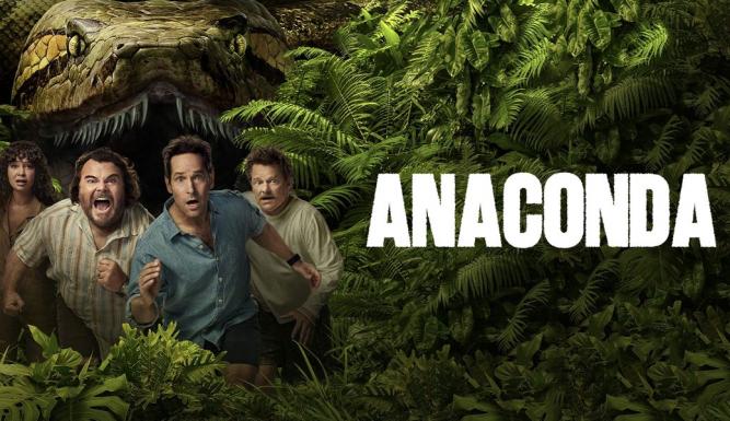 Anaconda