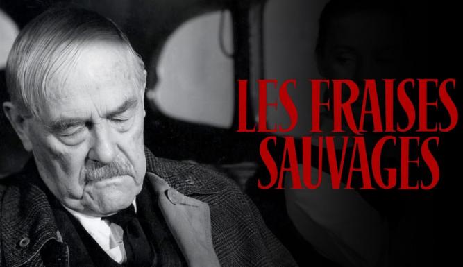Les fraises sauvages
