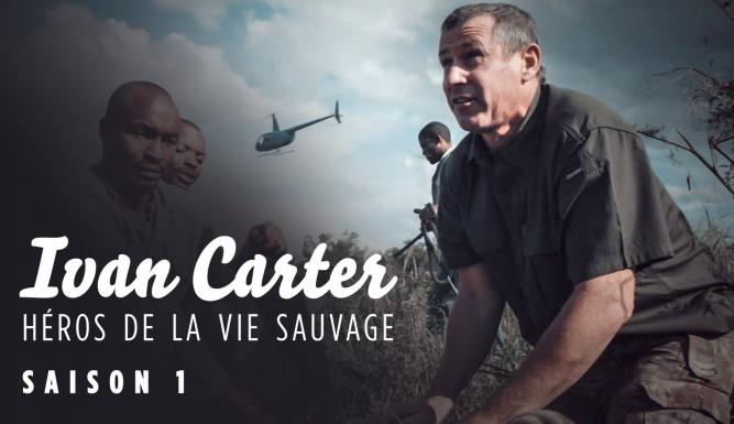 Ivan Carter : héros de la vie sauvage