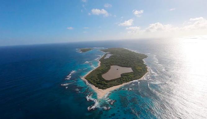 La vie sauvage des monuments aux Petites Antilles