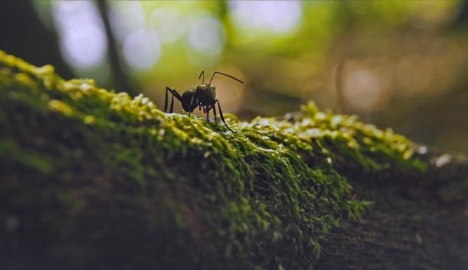 Les parcs naturels... en Minuscule