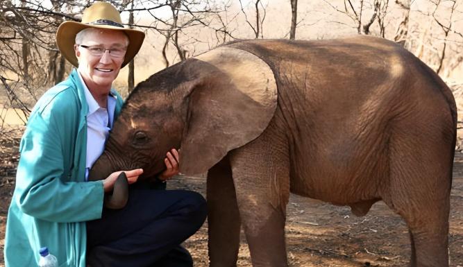 Paul O'Grady : l'aventure des grands éléphants