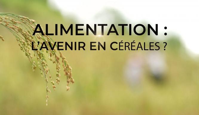 Alimentation : l'avenir en céréales ?