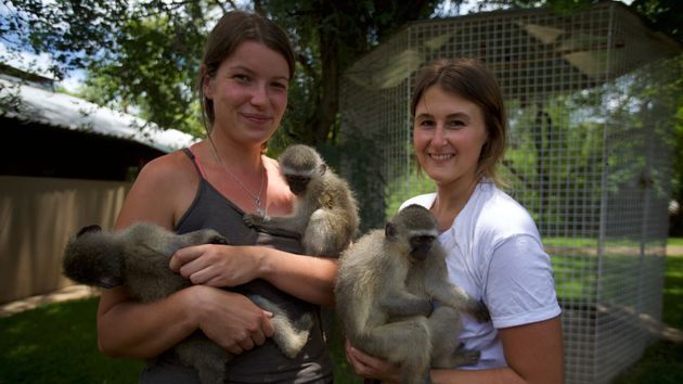 SOS animaux orphelins