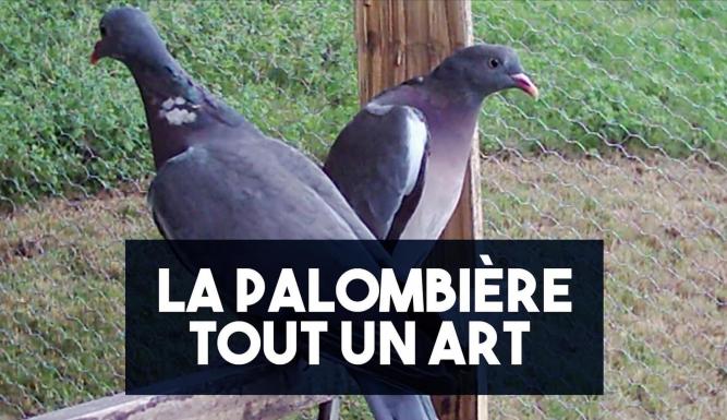 La Palombière tout un art