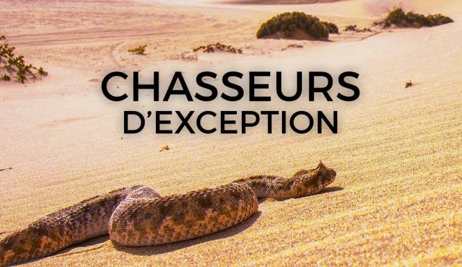 Chasseurs d'exception