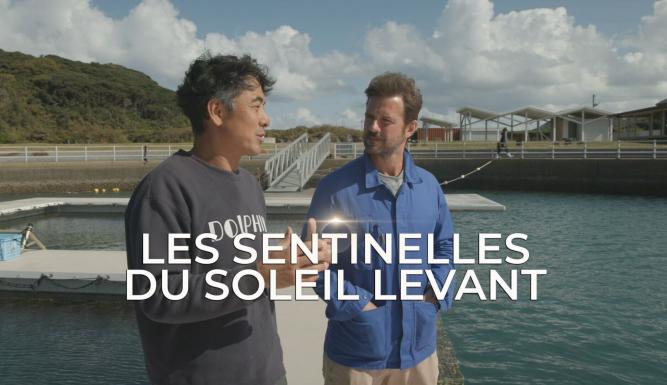 Les sentinelles du Soleil Levant