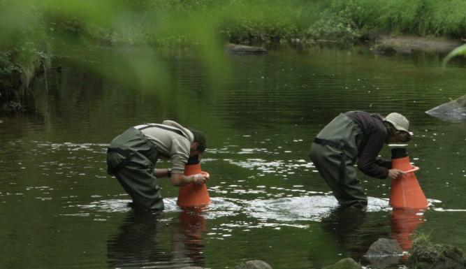 La ligne de partage des eaux