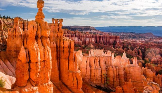 Au coeur des grands parcs américains