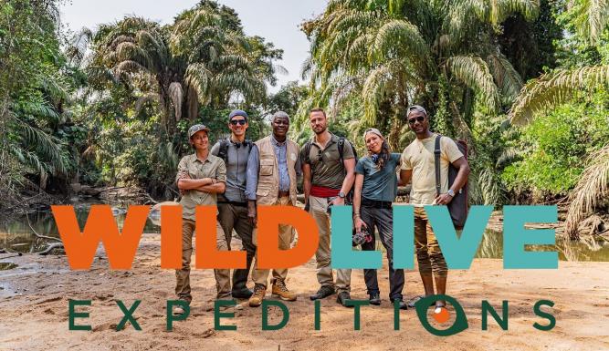 WildLive Expeditions