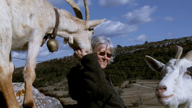 Les chèvres de ma mère
