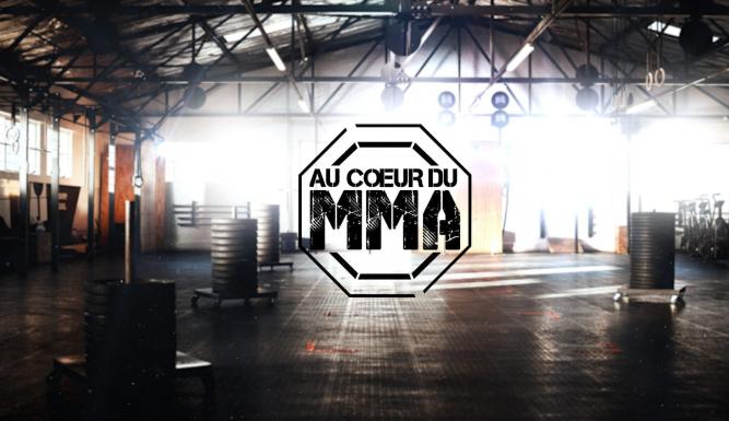 Au coeur du MMA