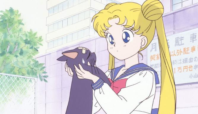 Pretty Guardian Sailor Moon