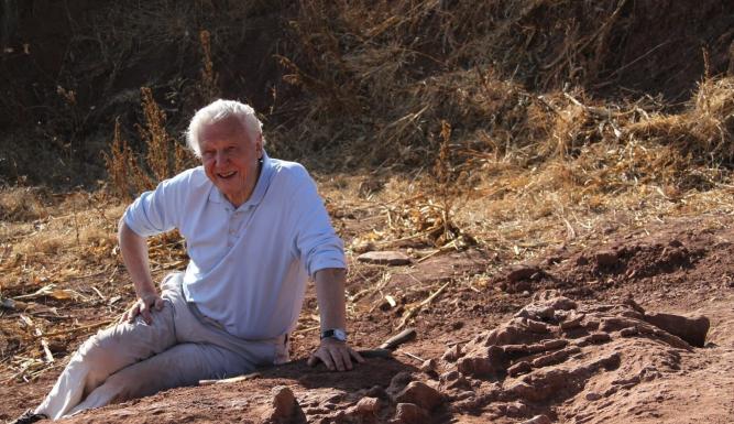 Le tour du monde de David Attenborough