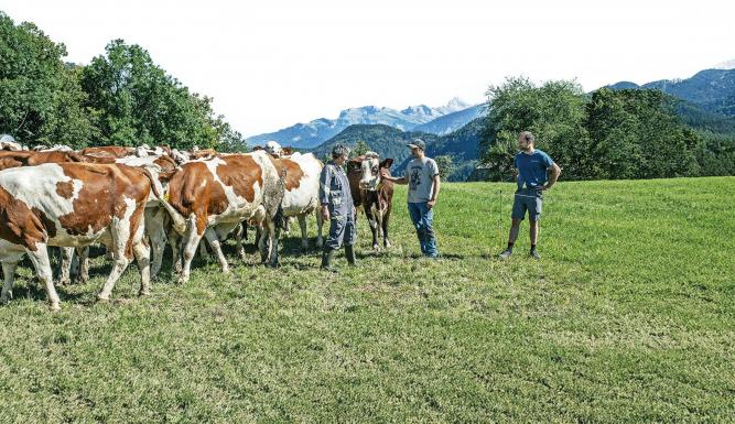 La ferme des Bertrand