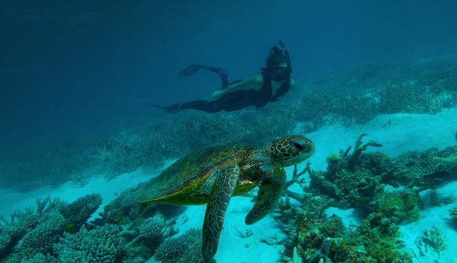 Australie : les profondeurs de l'océan