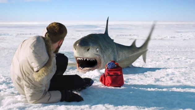 Ice sharks : requins des glaces